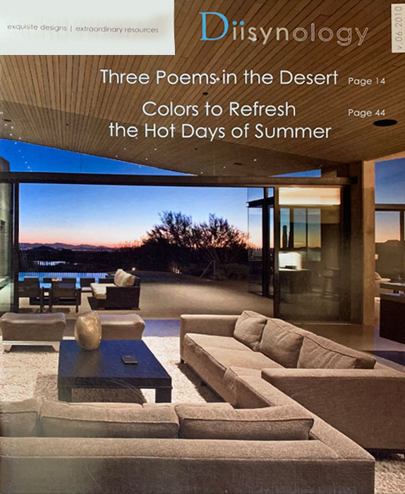 Diisynology - V.06.2010 cover