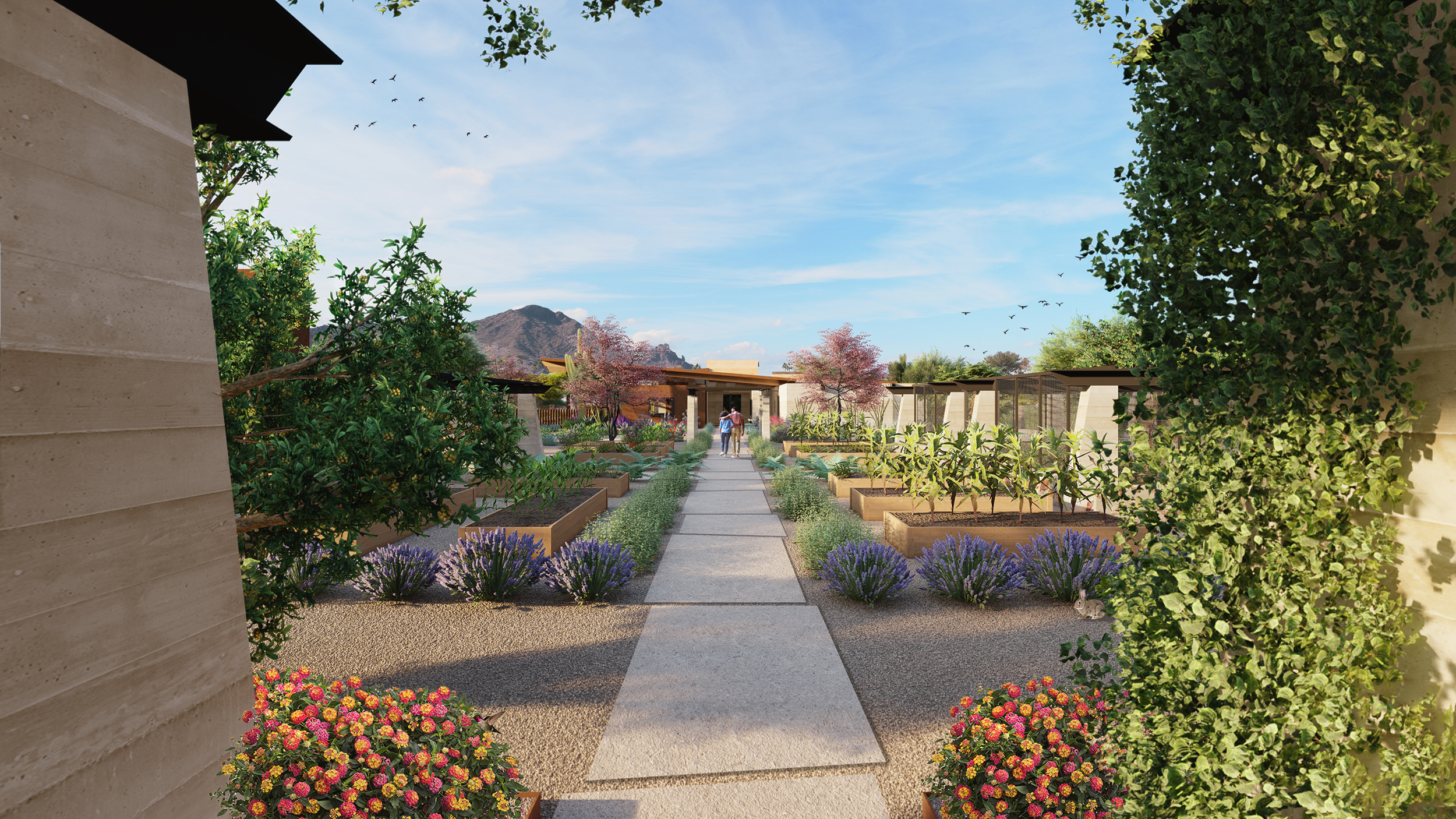 Cattle Track Compound_Scottsdale Modern_Architect_Kendle Design (7)
