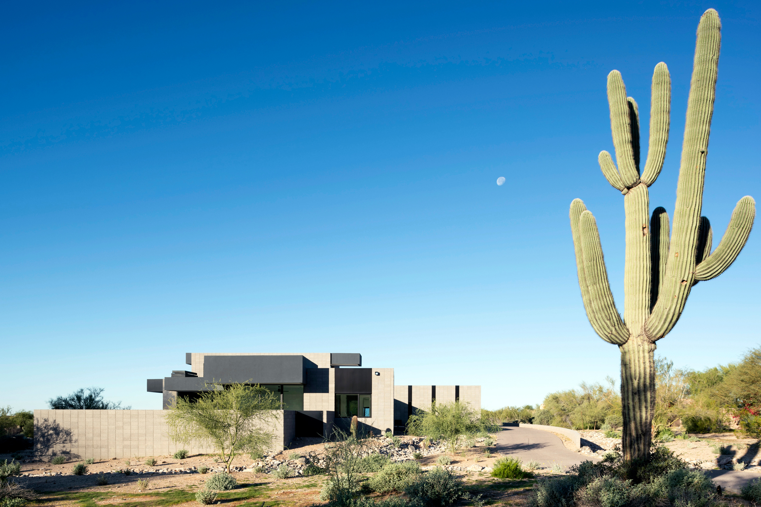 Troon Modern-Home-Contemporary-Scottsdale-Architect-_Kendle Design Collaborative (8) Birds Nest – Scottsdale Custom Home – Modern Architecture