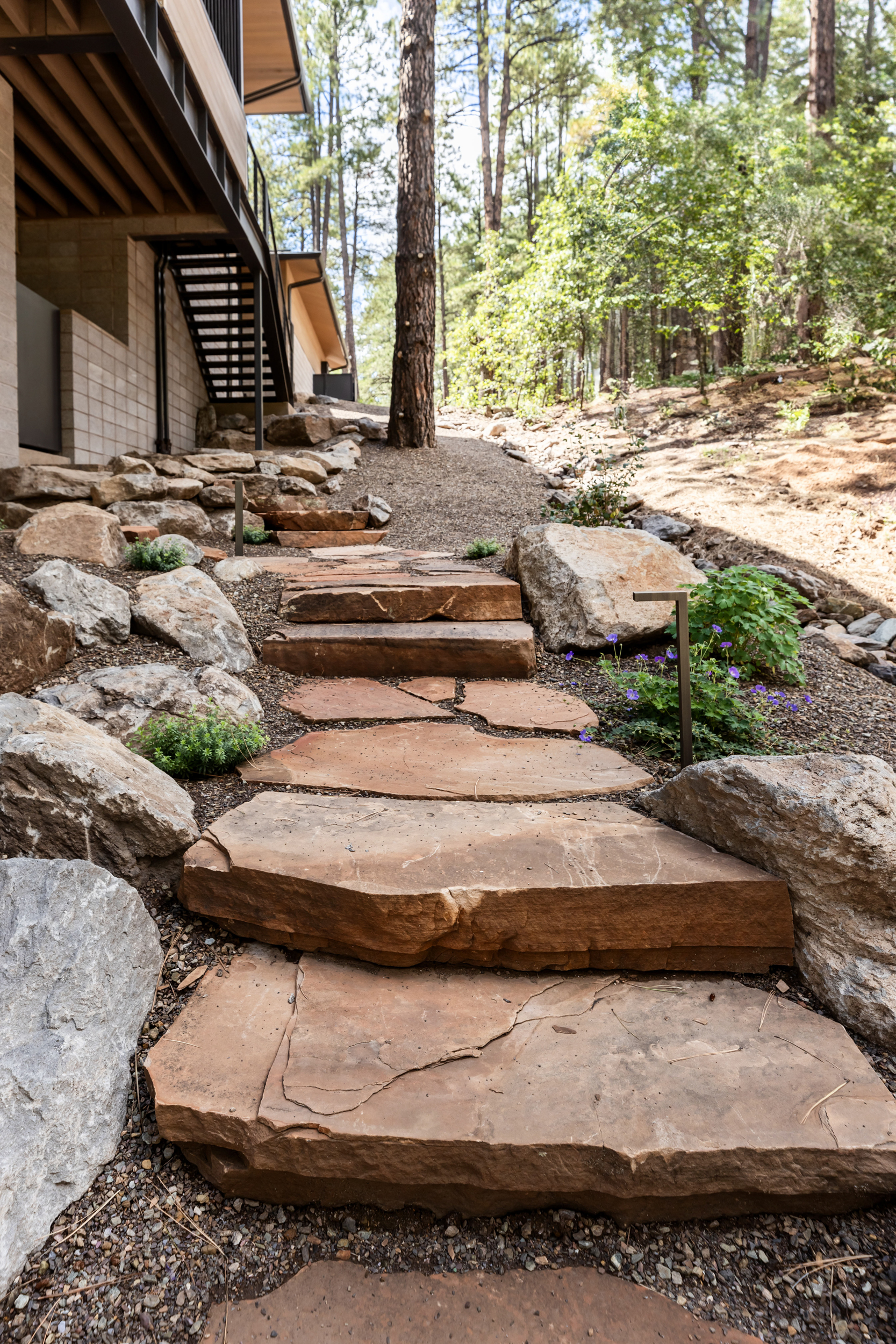 Flagstaff Forest House_Forest Highlands Arizona_Custom Home_Architect_AZ Design_Luxury_Modern Cabin-150 Birds Nest – Scottsdale Custom Home – Modern Architecture